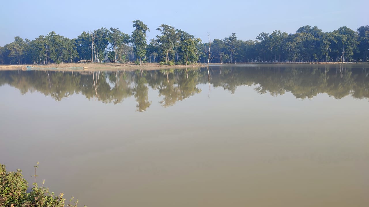 सामुदायिक वनका १६ तालमा भजनी नगरपालिकाको कब्जा,संकटमा उपभोक्ता समुह